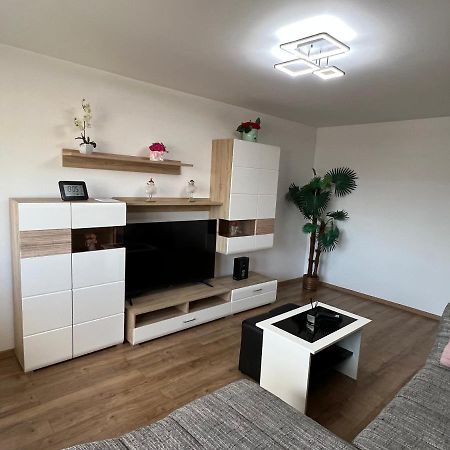 Aparthotel Aurel Vlaicu City Center 克卢日-纳波卡 外观 照片