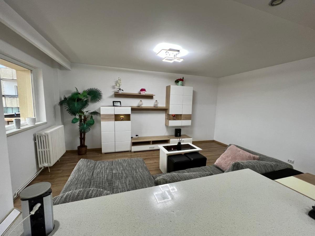 Aparthotel Aurel Vlaicu City Center 克卢日-纳波卡 外观 照片