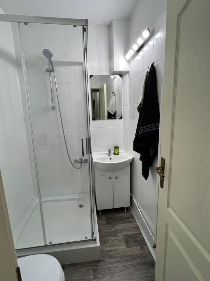 Aparthotel Aurel Vlaicu City Center 克卢日-纳波卡 外观 照片