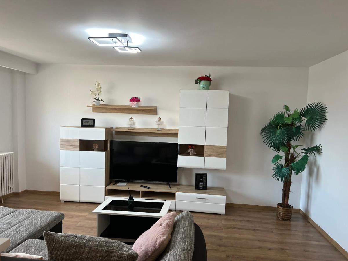 Aparthotel Aurel Vlaicu City Center 克卢日-纳波卡 外观 照片