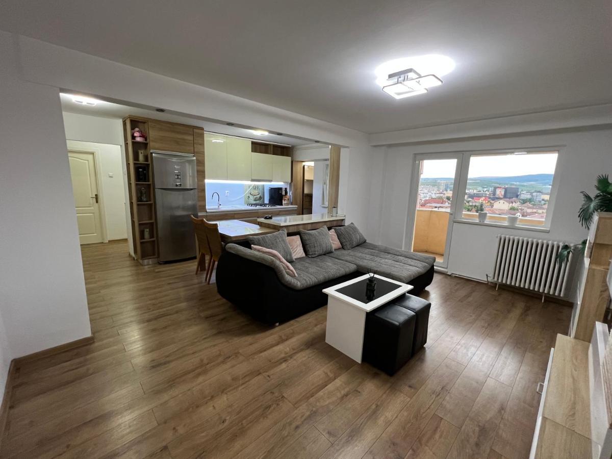 Aparthotel Aurel Vlaicu City Center 克卢日-纳波卡 外观 照片