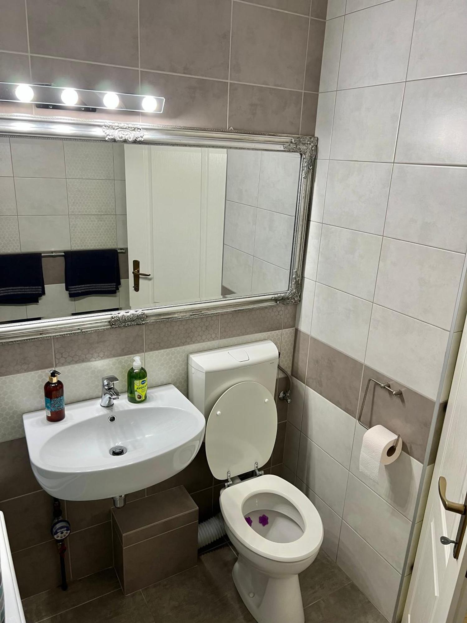 Aparthotel Aurel Vlaicu City Center 克卢日-纳波卡 外观 照片