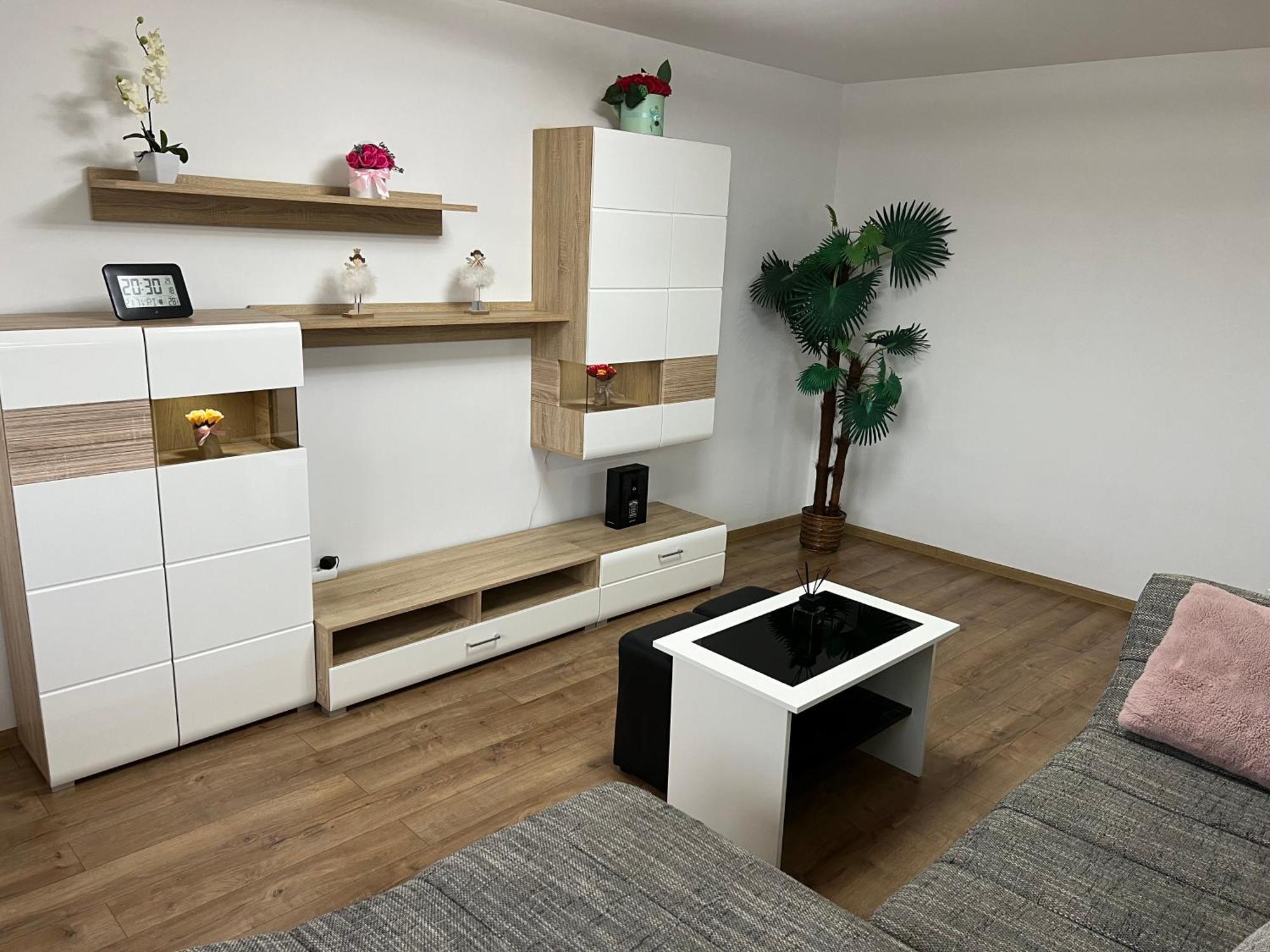 Aparthotel Aurel Vlaicu City Center 克卢日-纳波卡 外观 照片